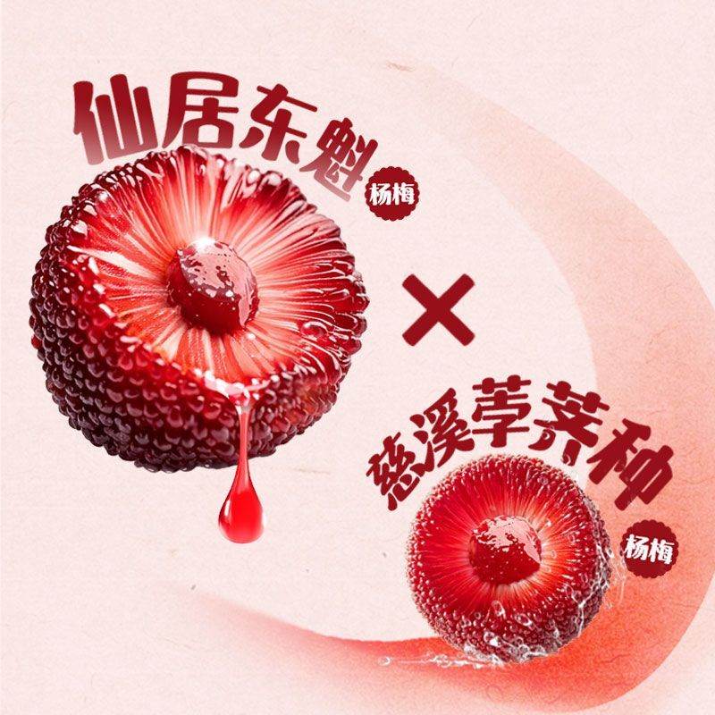 Junyao's New Product Contains Nfc Bayberry Juice, Refreshing Bayberry Probiotics, 1L Bottle, Suitable for Hot Pot and Barbecue, Sour and Sweet, Relieves Greasiness, and Boosts Energy Junyao's New Product Contains Nfc Bayberry Juice, Refreshing Bayberry Probiotics, 1L Bottle, Suitable for Hot Pot and Barbecue, Sour and Sweet, Relieves Greasiness, and Boosts Energy