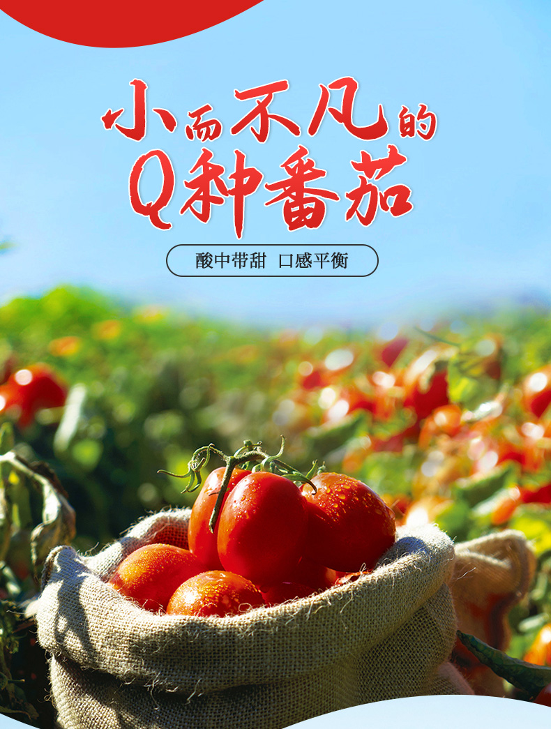 味好美 番茄沙司 番茄酱 130g*4 挤挤装 图4