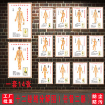 Human body twelve meridians network acupoint diagram Ren Tuo two pulse wall chart Chinese Medicine health care acupoint wall chart Poster photo