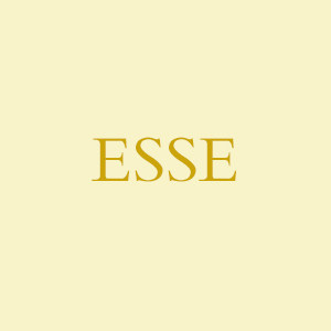 ESSE爱熙家包袋的LOGO