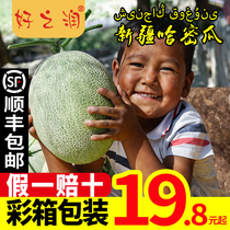  Xinjiang cantaloupe fruit fresh Turpan honeydew melon Flaming mountain Xizhou honey seasonal whole box mesh melon SF