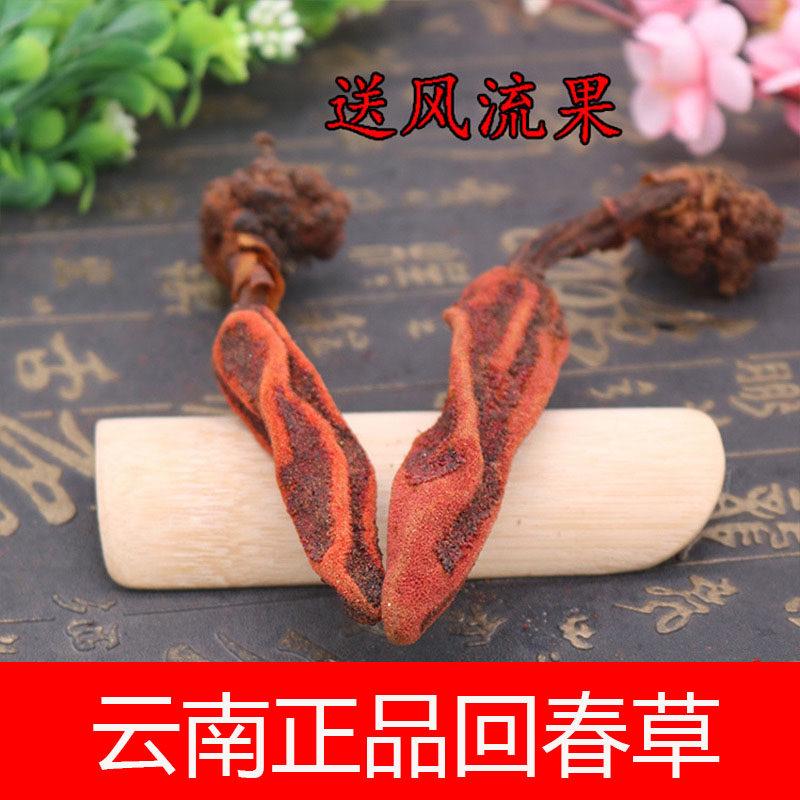 Back Spring Grass 500g Top Tianzhu Yunnan Grass Grass Cistanche not old grass is pleasant to mix with lock yang cistanche lust