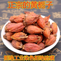 Yellow Gardenia fruit 500 gr wild Mountain Gardenia tea Upper color brine stew spices seasoning can beat Gardenia powder