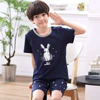 Кроличий мальчик с короткими рукавами