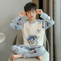 LDE1429 астронавт