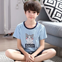 Короткий кошачий мальчик с короткими рукавами