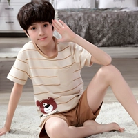 Медвежий мальчик с короткими рукавами