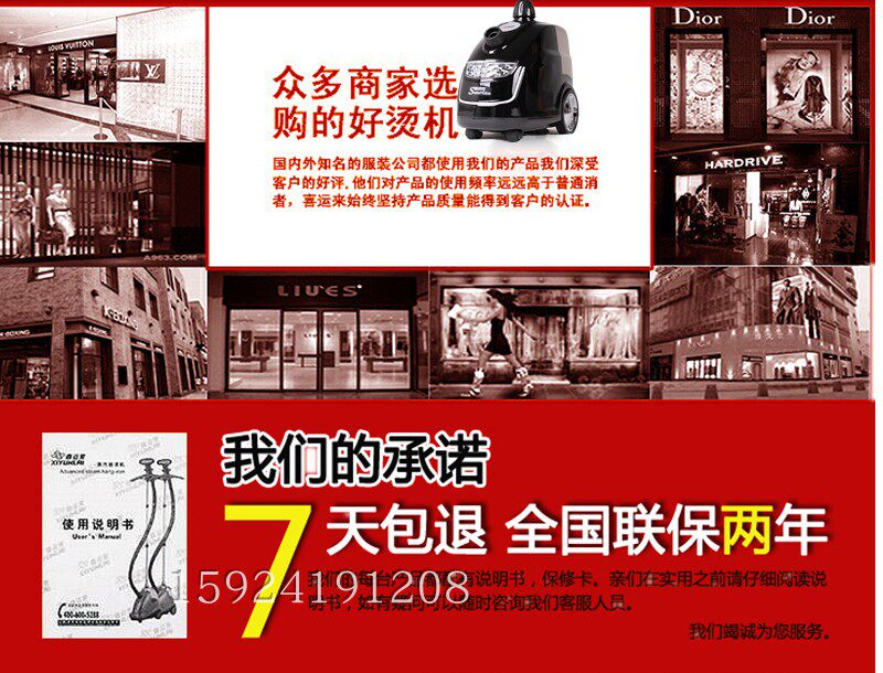Пароочиститель 征服蒸汽挂烫机服装店商用推荐熨烫机全铜接口大功率家用立式熨斗 Sunrlan