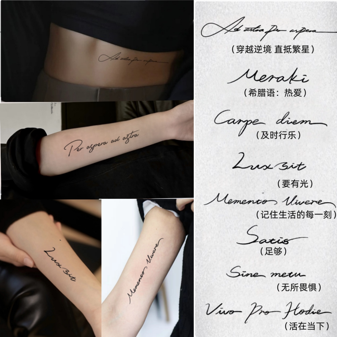 苏小木拉丁文套装草本纹身贴防水男女英文句个性高级感锁骨手臂评价- 淘宝网