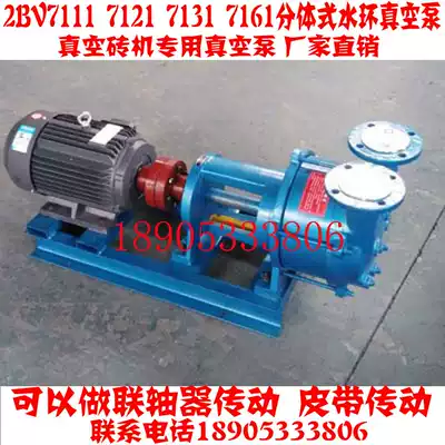Boshan water ring vacuum pump 2 BV5121 5131 5161 water ring vacuum pump vacuum pump high vacuum pump