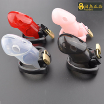 New male chastity lock smirty plastic chastity belt device cb6000 chastity lock Birdcage jj Cage escape