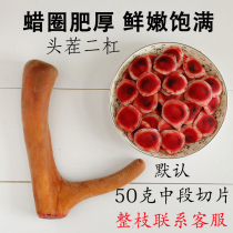 Fresh deer antler slices