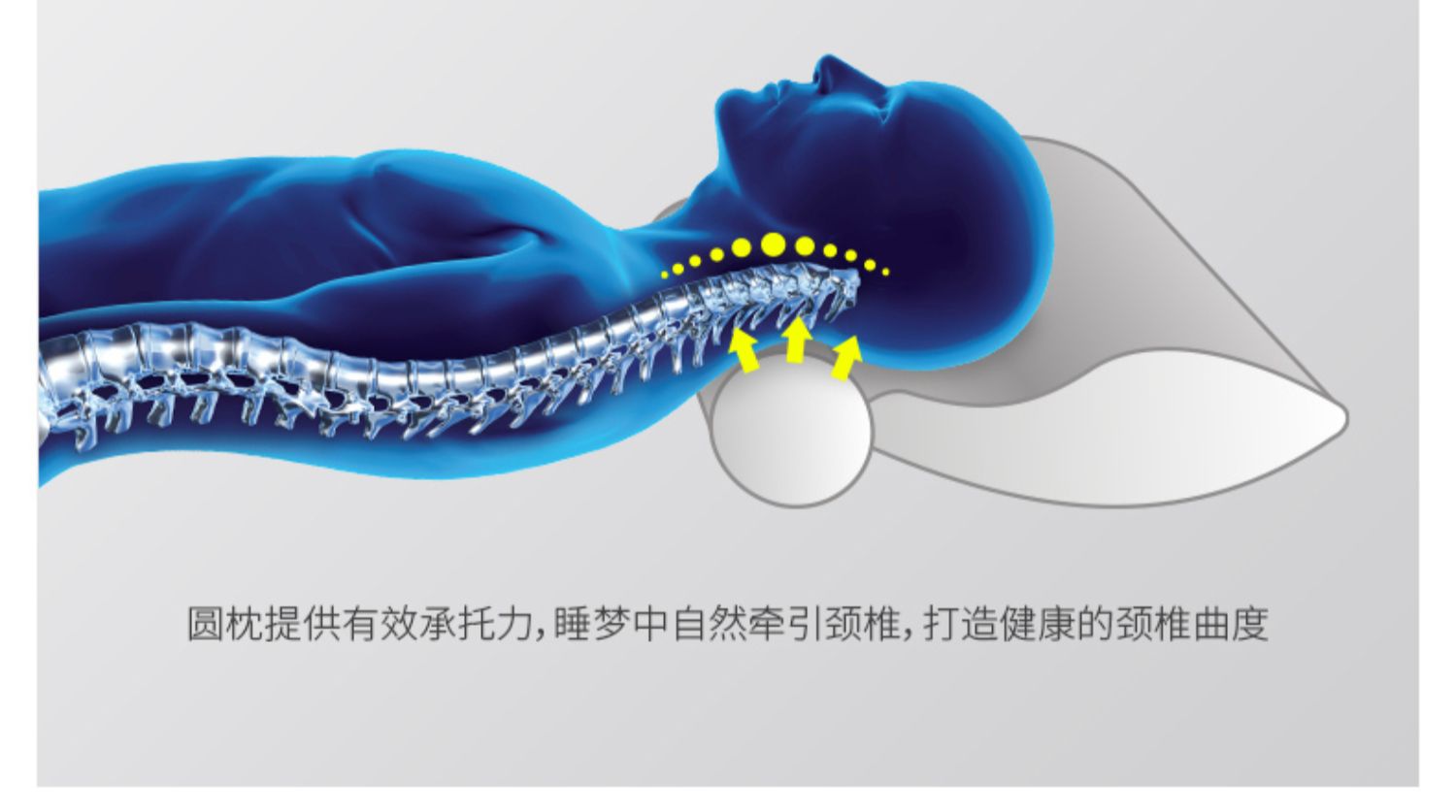 SUPRELLE 舒 gối cổ tử cung gối tròn gối kẹo gối gối người lớn gối đơn gối cứng - Gối gối cao su non cho người lớn