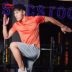 Li Ning áo sơ mi ngắn tay nam hàng loạt đào tạo mới nhanh khô mát ve áo mùa hè thể thao đan áo phông polo nam Áo polo thể thao