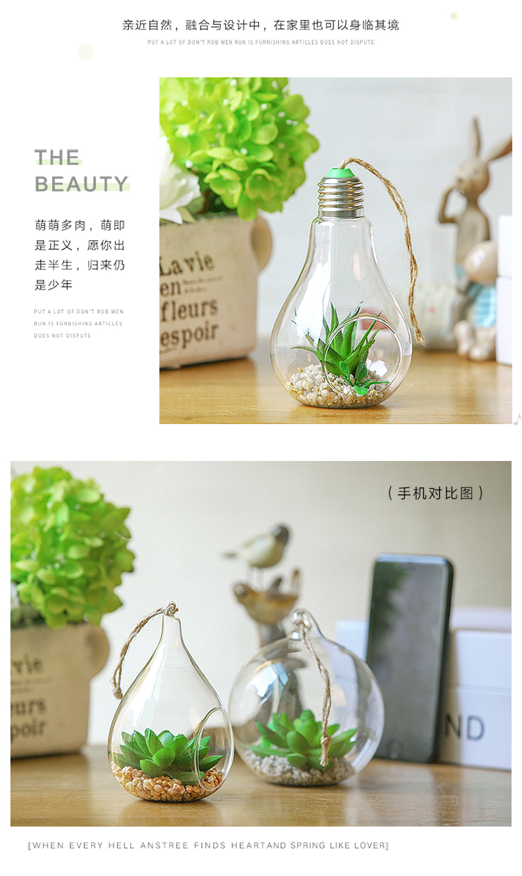  玻璃多肉盆栽_04.jpg