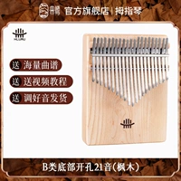 Класс B Внизу Открытие 21 Звук [Maple]