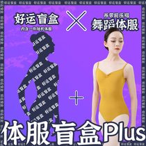 Dance Fish Beauty Ballet Dancer Kongfu Aerial Yoga Body Suit Harness Cross Annual Fubag Body Clothing Blind Box