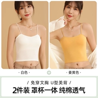 Белый, рыжий