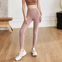 Сумерки роза-1