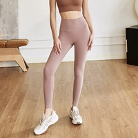 Сумерки Роза