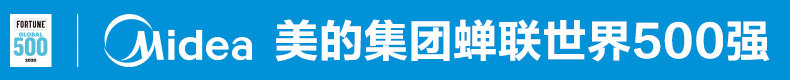 TOP 500 Подробности BANNER.JPG