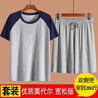 Модернизированная модель