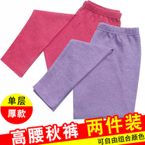 2 pieces of womens autumn pants thick middle-aged and elderly young pants cotton wool pants large size warm pants women wear