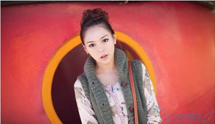 Extension cheveux - Chignon - Ref 247973 Image 27