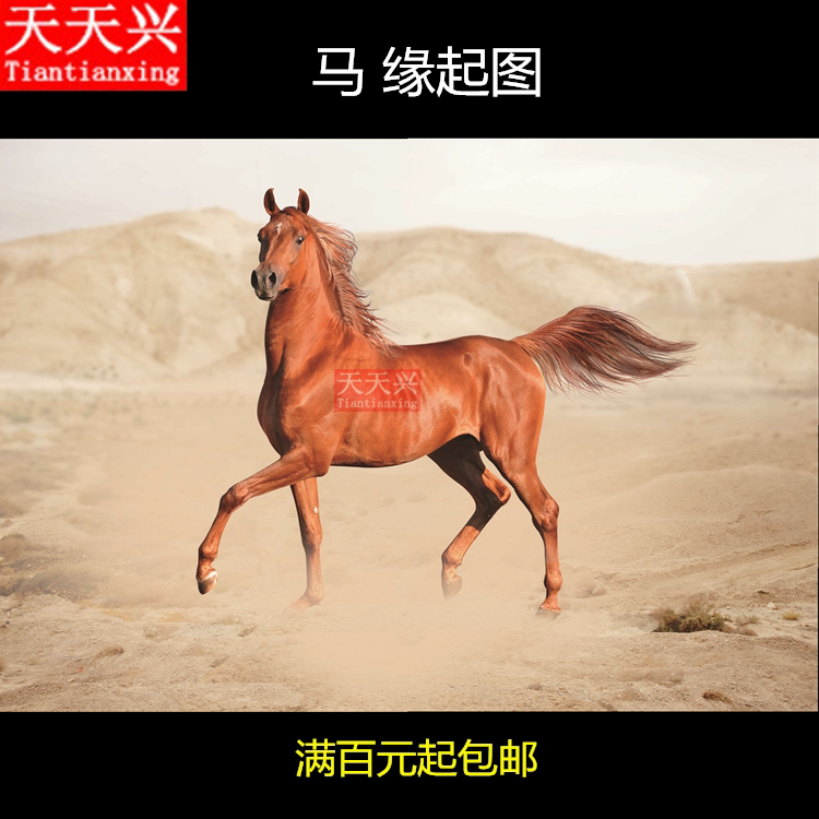 Tiantian Xingma origin map Pour lotus pond with the same origin map to provide for marriage burning to pray for paper burning