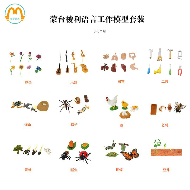 Meng's language working teaching aids can be matched with the simulation model of the three sections of Carmondae Thosori Animal Week
