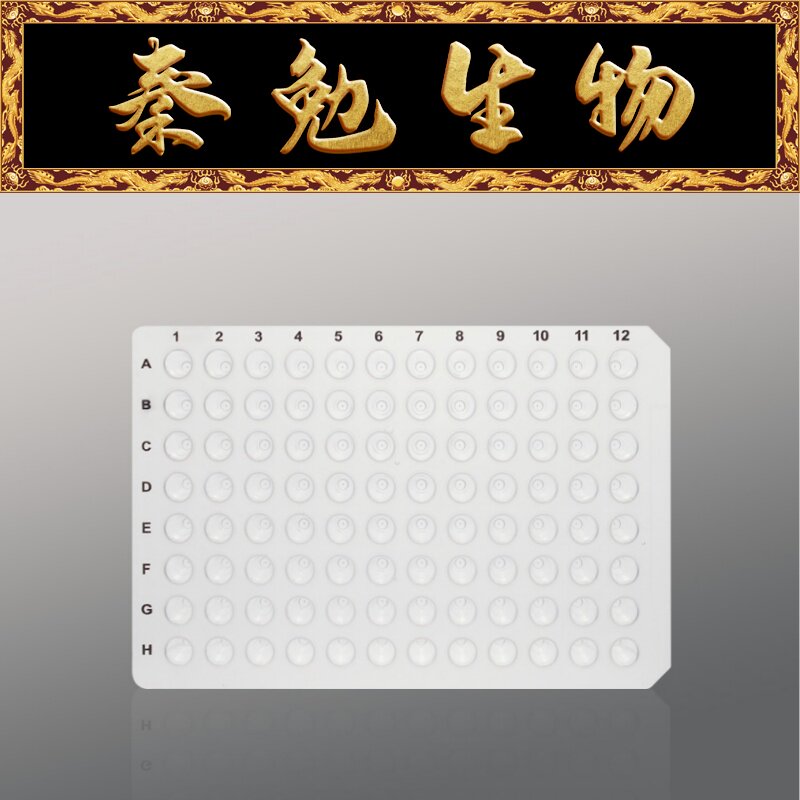 LABSELECT甄选 PP-96-NS-0100 0.1mL 96孔无裙边PCR板,透明