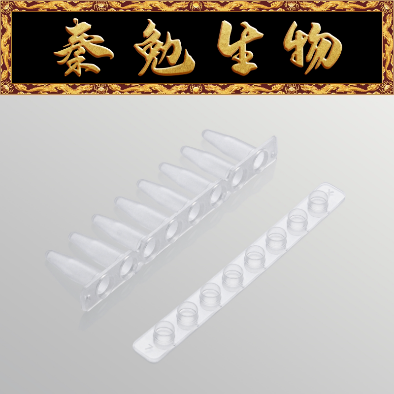 LABSELECT甄选 PST-0208-FT-AB 0.2ml平盖八排管(含盖),磨砂管