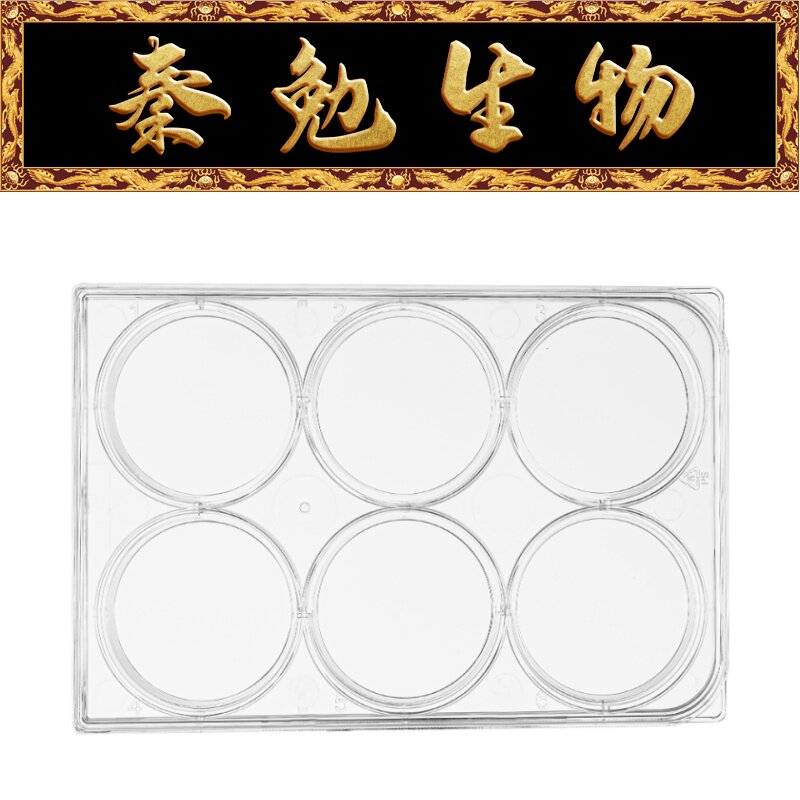 LABSELECT甄选 11110 6孔细胞培养板