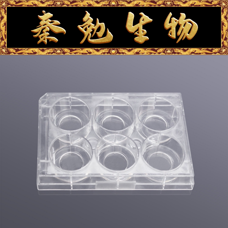 Biosharp白鲨 BS-CP-6C 6孔玻底/共聚焦培养板(玻底：20mm)