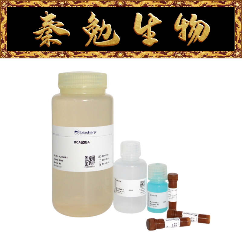 Biosharp白鲨 BL1054B BCA蛋白浓度测定试剂盒（增强型）