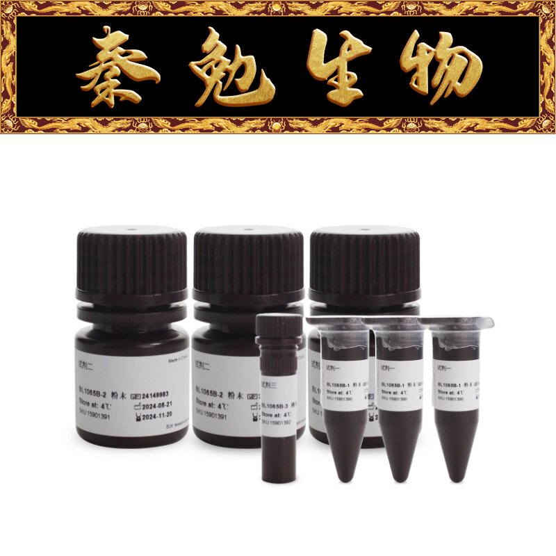 Biosharp白鲨 BL1065B 羟自由基清除能力检测试剂盒 微板法