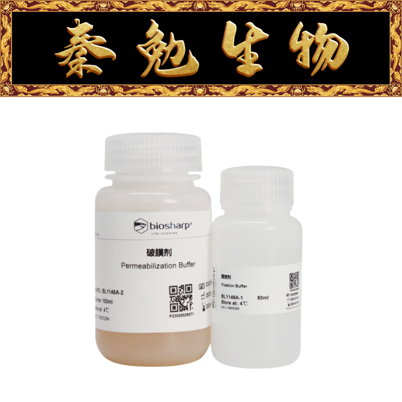 Biosharp白鲨 BL1146A 固定破膜剂