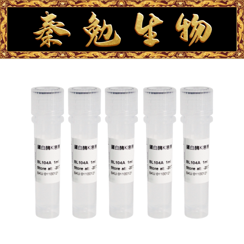 Biosharp白鲨 BL104B 蛋白酶K溶液 (20mg/ml)