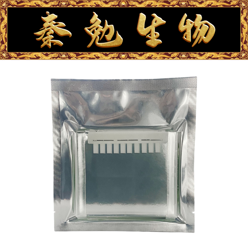 Biosharp白鲨 BL575A 蛋白预制胶Tris-Glycine,10％10孔1.5mm