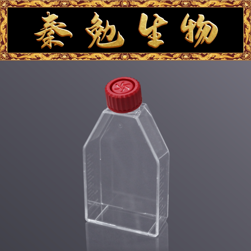 LABSELECT甄选 13222 75c㎡细胞培养瓶 透气盖 未TC处理