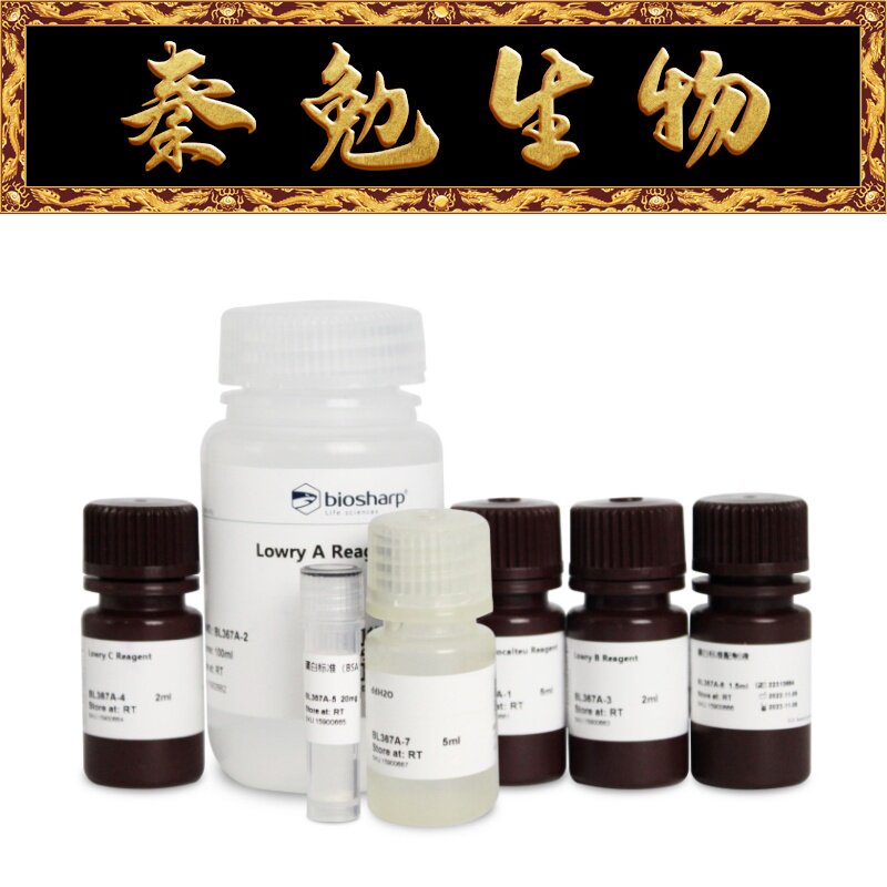 Biosharp白鲨 BL367A 改良Lowry法蛋白定量试剂盒