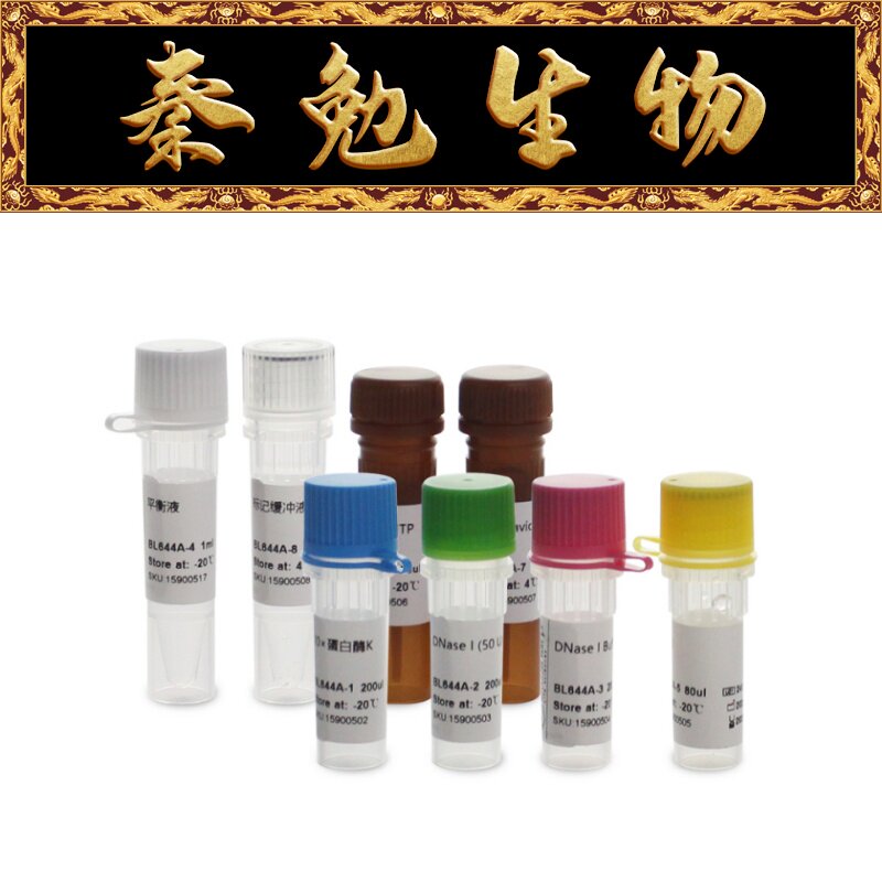 Biosharp白鲨 BL644A TUNEL细胞凋亡检测试剂盒