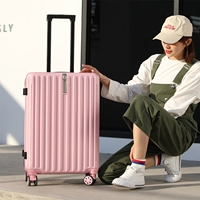 Поцарапая порошок застежки-молнии