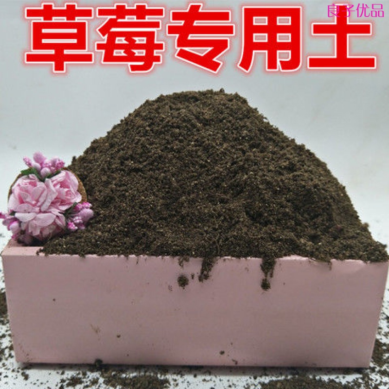 Strawberry soil Potted four seasons strawberry planting soil Strawberry special nutrient soil Balcony cultivation soil