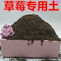 Strawberry Soil Potted Season Strawberry Cultivation Earth Strawberry Special Nutritional Soil Balcony Cultivated Earth