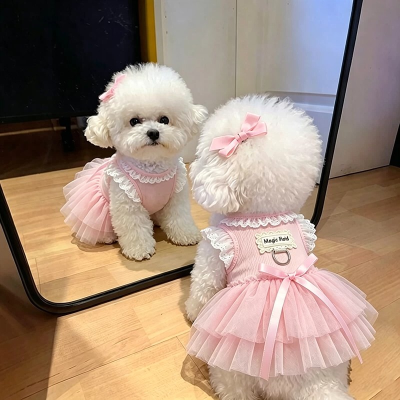 Summer New Thin Princess Tutu Dress for Dogs and Cats, Lace Dress for Small Dogs Like Teddy, Bichon, Schnauzer