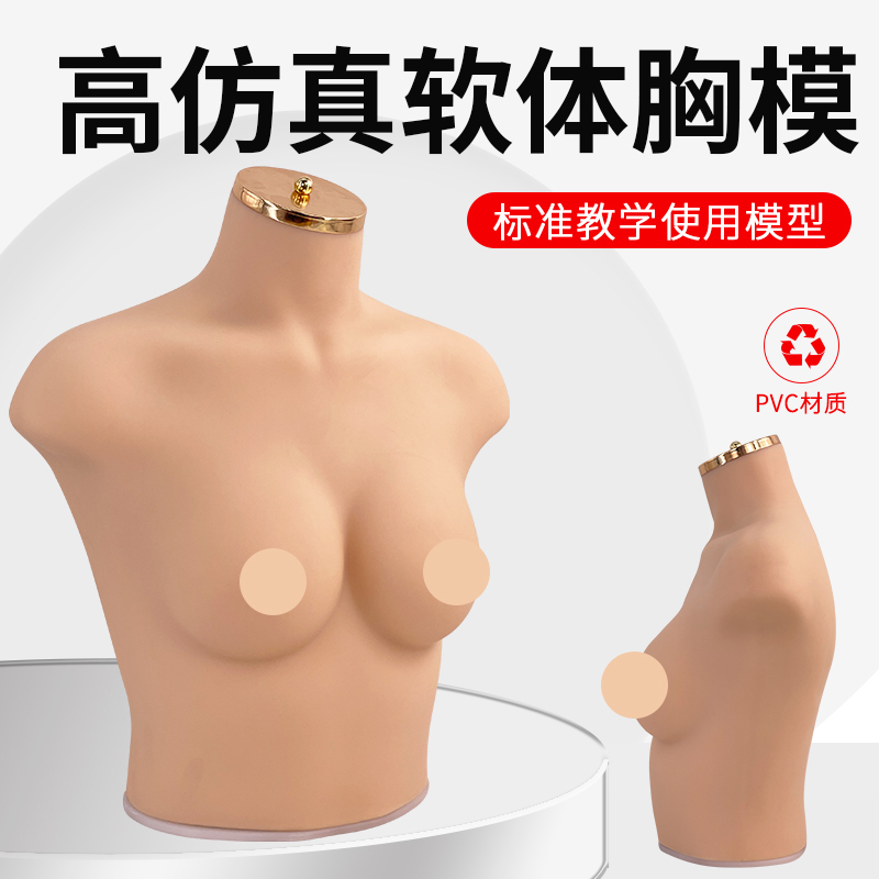 Underwear and Bra Window Display Photography Props, Female Half-Body Soft Body Simulation Mannequin 75B/C Bust Model