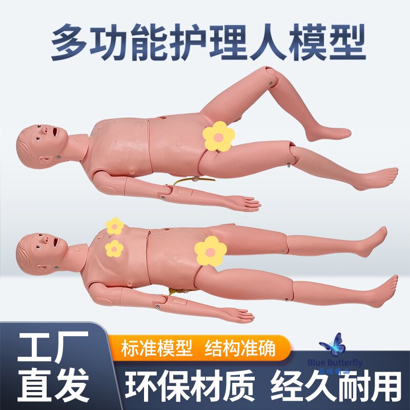 导尿与静脉输液假人 护理人训练模型 心肺复苏模拟人