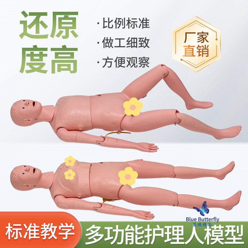 女性护理人模型 成年老年人养老护理培训 月嫂催乳师教具护理模型
