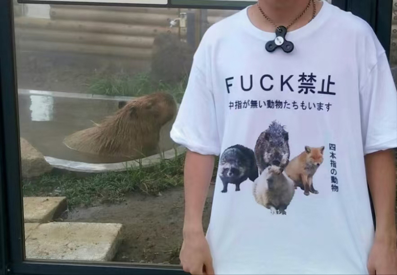 Four Civilized and Polite Little Animals on a T-Shirt with a Funny Capybara Design, Drop Shoulder, Pure Cotton Short-Sleeve T-Shirt
